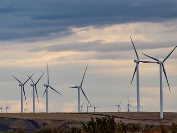 Nordeste é líder em Energia Renovável e gera milhares de empregos