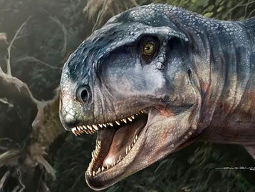 Dinossauro descoberto na Argentina foi o maior predador da época