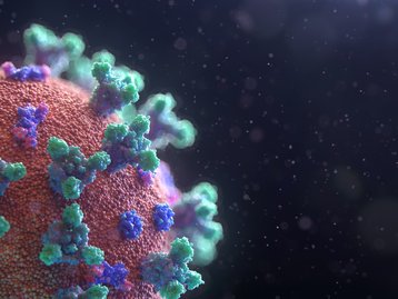 Covid-19: coronavírus infecta e se replica em glândulas salivares