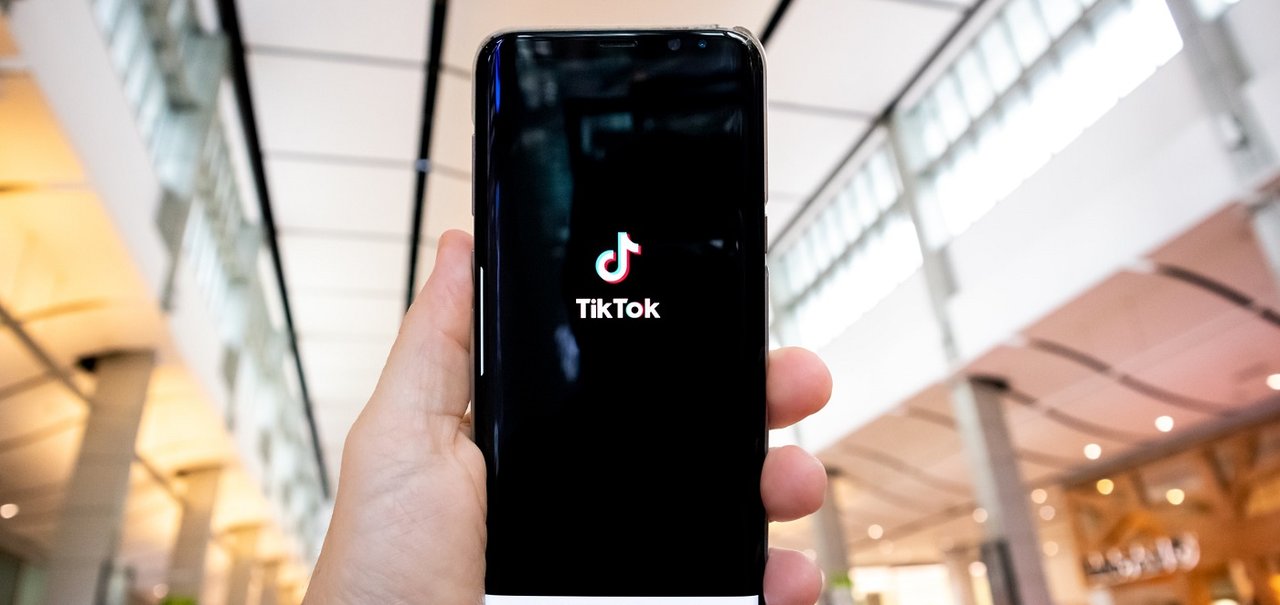 TikTok dispara em uso no Brasil e Roblox domina games em 2020