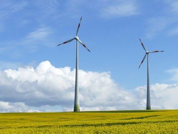 Energia eólica e solar crescem em níveis recordes em 2020, diz BP