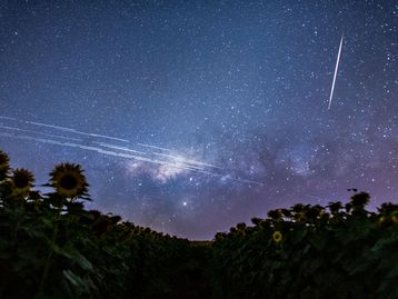 Internet via satélite da SpaceX preocupa militares do Brasil