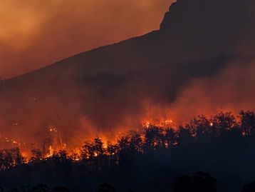 Jeff Bezos doa US$ 1 bilhão para combater as mudanças climáticas