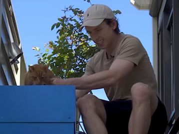 Youtuber constrói elevador para ajudar gato de 20 anos