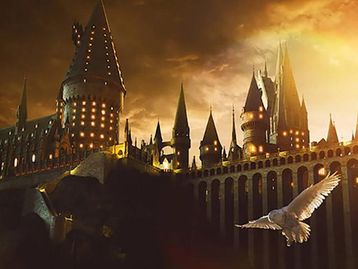 Harry Potter: Spotify mostra hits das escolas de magia de Hogwarts