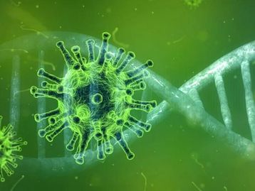 Malware disfarçado de dados sobre a ômicron já atinge 12 países