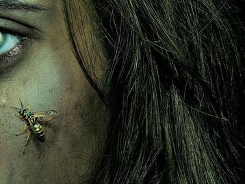 Euphoria & Yellowjackets: psicólogos explicam sucesso das séries