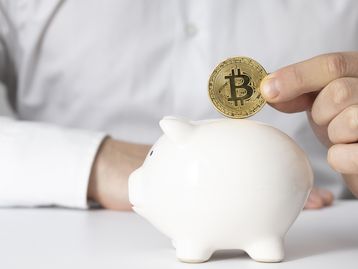 Wikimedia Foundation para de aceitar doações em criptomoedas
