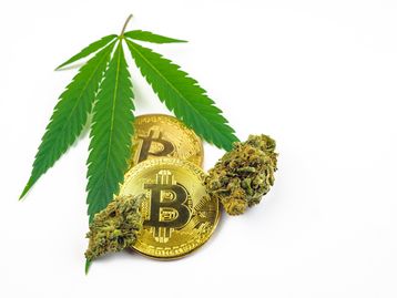 Pai e filho usam Bitcoin para lavar dinheiro de drogas e são presos