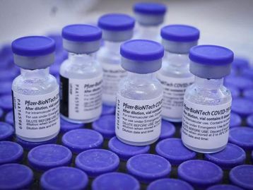 Anvisa recebe pedido de uso da vacina bivalente de covid da Pfizer