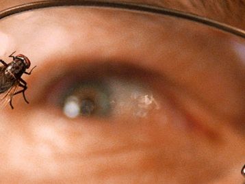 Breaking Bad: qual é o significado do episódio da mosca? (análise)