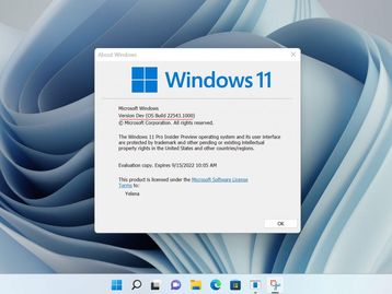 Microsoft cria novo canal de testes pensado no Windows 12 e futuras funções