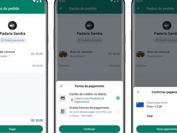 Como usar o serviço do WhatsApp para pagamento de empresas?