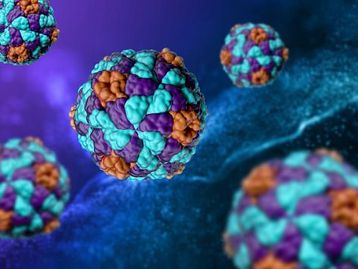 Cientistas descobrem 30.000 tipos de vírus escondidos em micróbios