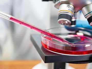 Método usa inteligência artificial para detectar câncer em 30 minutos