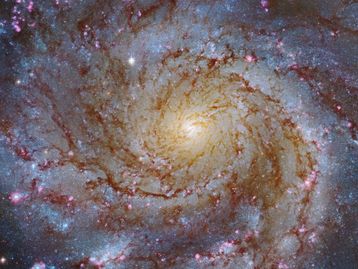 #AstroMiniBR: a supernova mais próxima dos últimos anos!