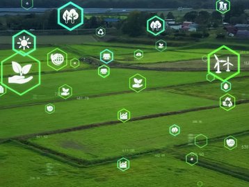 O 5G pode alavancar tecnologia de gestão ambiental no Brasil