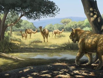 Estudo examina vestígios da megafauna e o papel do homem em sua extinção