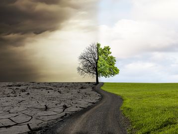 Mudança climática pode causar um bilhão de mortes até 2100, diz cientista