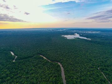 Antigas estruturas pré-colombianas foram descobertas na Amazônia, diz estudo