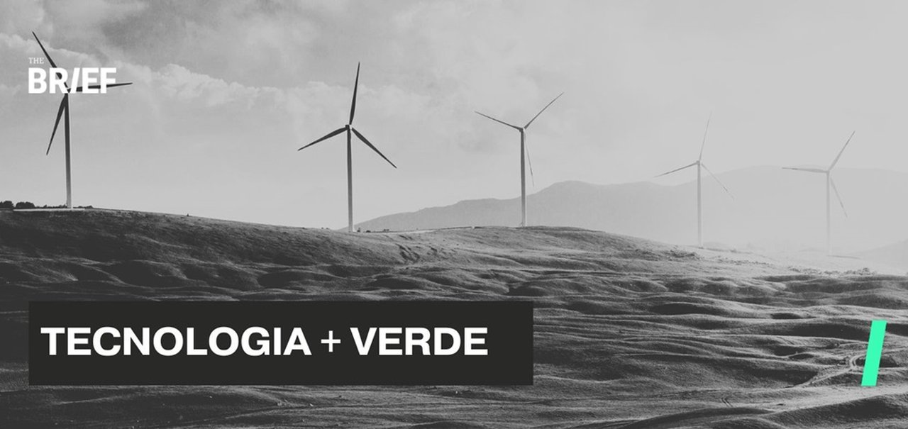 Greentech: o que são as 'startups verdes' e por que se tornaram valiosas