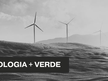 Greentech: o que são as 'startups verdes' e por que se tornaram valiosas