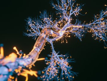 Alzheimer: luz do sol simulada pode reduzir sintomas da doença, diz estudo