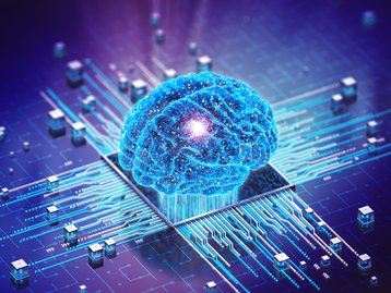 Organoide cerebral: cientistas conectaram inteligência artificial em um minicérebro