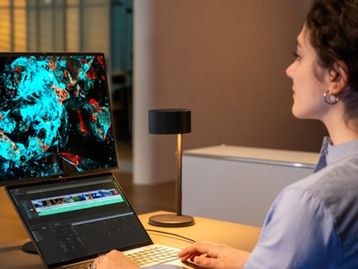 ASUS lança monitor dobrável ZenScreen OLED de 17 polegadas