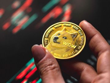 Kabosu, cadela do meme Doge e moeda Dogecoin, morre aos 18 anos