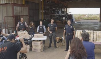 Hawaii Five-0: conheça o novo cão da equipe em cena do episódio 8x02