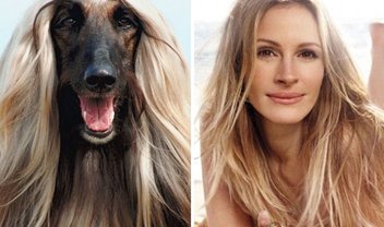 15 animais que parecem muito com celebridades