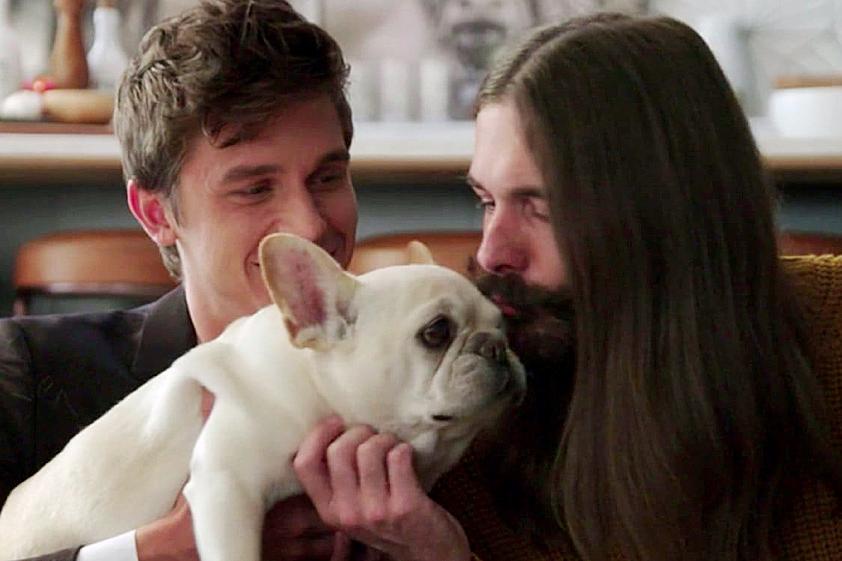 Imagem de Astros de Queer Eye lamentam morte do buldogue francês Bruley