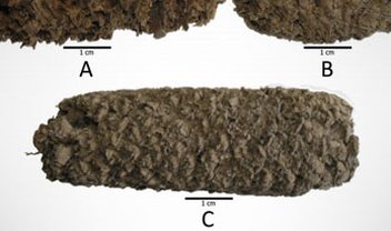 Pipoca "das cavernas" surpreende cientistas