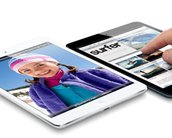 iPad mini é capaz de ignorar toques acidentais em sua tela