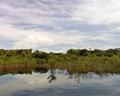 Google Street View leva você em uma viagem pela Amazônia