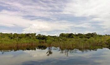 Google Street View leva você em uma viagem pela Amazônia