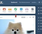 Tumblr cria nova ferramenta para destacar postagens