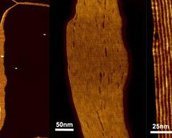 Cientistas criam nanoporos sintéticos capazes de combater doenças