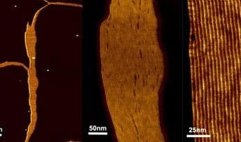 Cientistas criam nanoporos sintéticos capazes de combater doenças