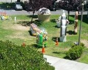 Estátua de Jelly Bean derrete nos escritórios da Google