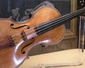 Fungos deixam os sons de violinos comuns iguais aos dos lendários Stradivarius