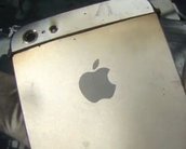 O que acontece quando o iPhone 5 é colocado no micro-ondas? [vídeo]