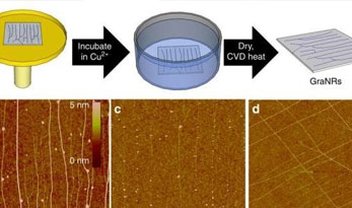 Grafeno feito a partir de DNA é a solução que os cientistas procuravam