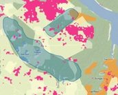 Mapa em tempo real de todas as florestas do planeta sai no mês que vem