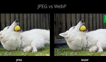 Google aposta em WebP e VP9 como novos formatos de imagem e vídeo