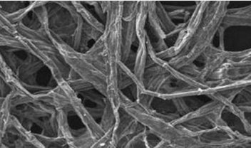 Cientistas criam bateria sustentável de sódio e fibras de madeira