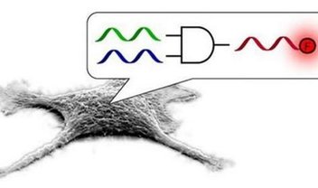 Computação de DNA chega às células vivas