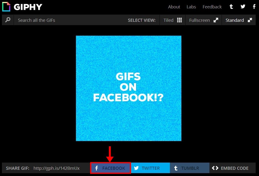 Facebook: como encontrar e postar GIFs direto pela rede social - TecMundo