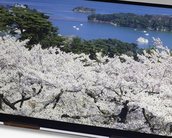 Japan Display promete telas 4K que não vão sugar a bateria de tablets